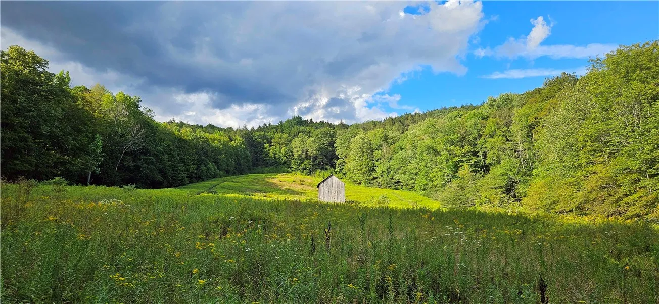 00 Shaver Hollow Road, Andes, New York 13731, Andes, New York 13731, ,Land,For Sale,00 Shaver Hollow Road, Andes, New York 13731,0,R1633932