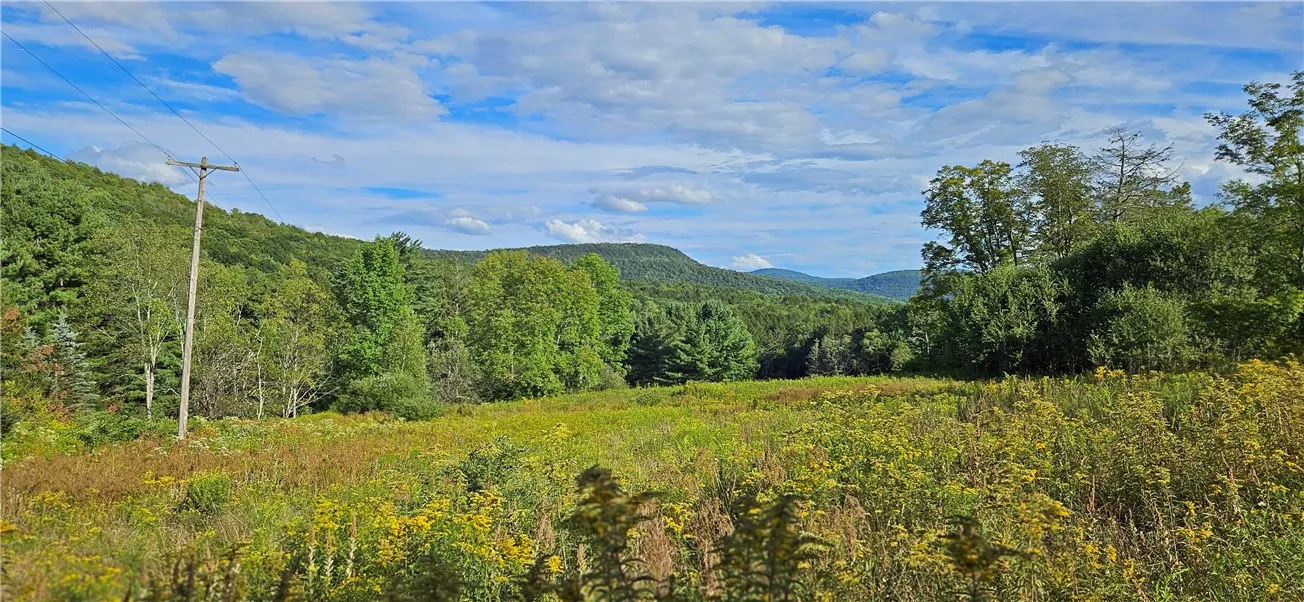 00 Shaver Hollow Road, Andes, New York 13731, Andes, New York 13731, ,Land,For Sale,00 Shaver Hollow Road, Andes, New York 13731,0,R1633932