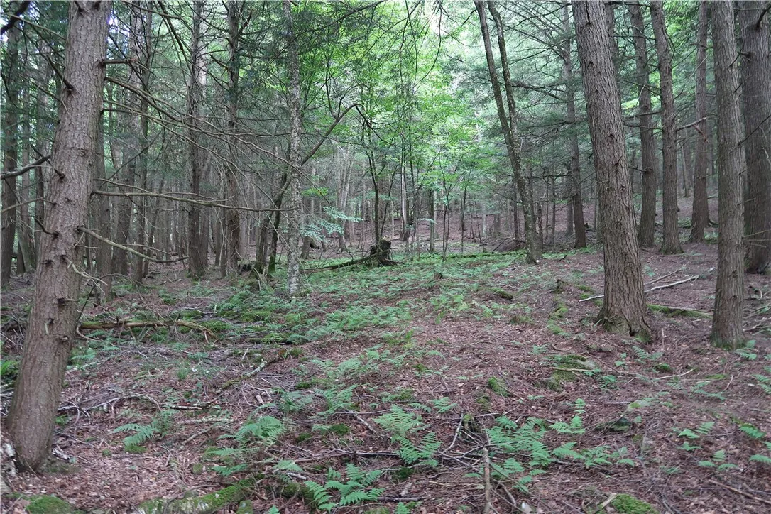 01 Cr-17, Oxford, New York 13830, Oxford, New York 13830, ,Land,For Sale,01 Cr-17, Oxford, New York 13830,0,R1633956