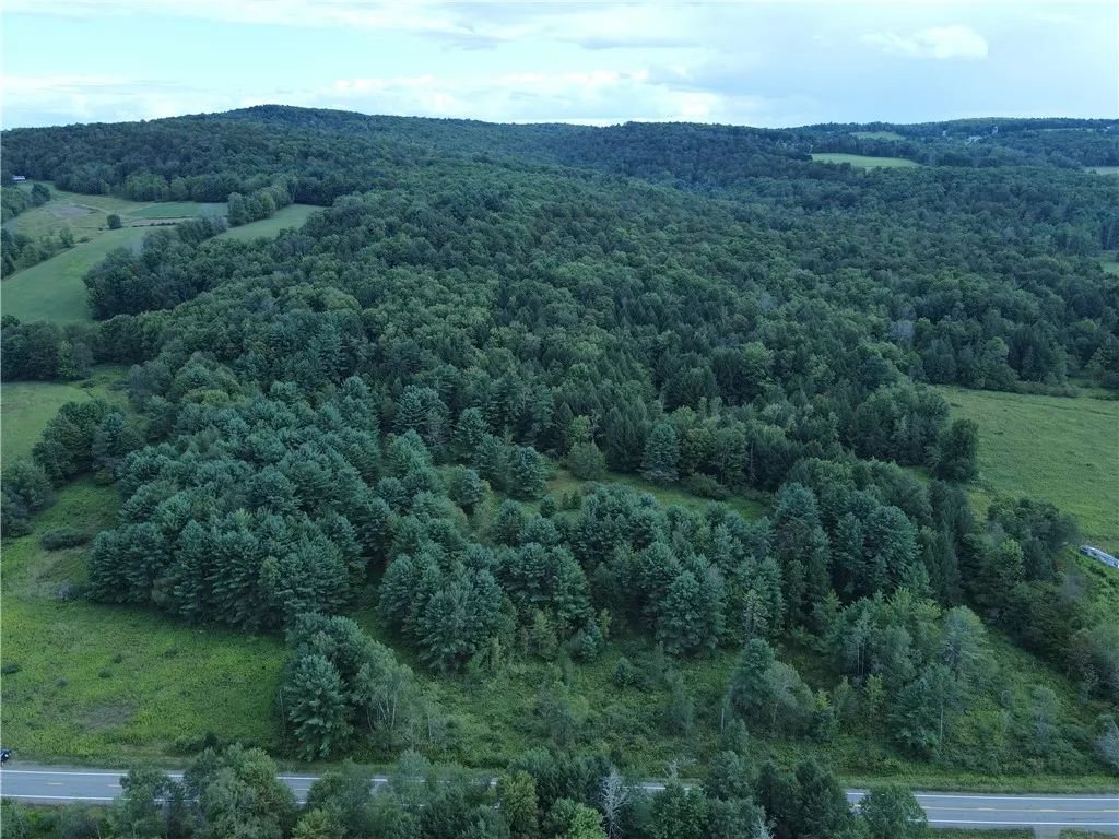 01 Cr-17, Oxford, New York 13830, Oxford, New York 13830, ,Land,For Sale,01 Cr-17, Oxford, New York 13830,0,R1633956
