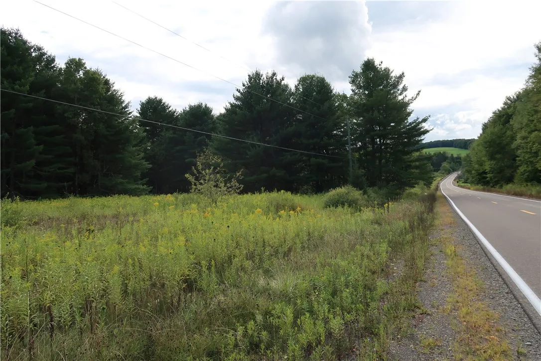 Road looking west