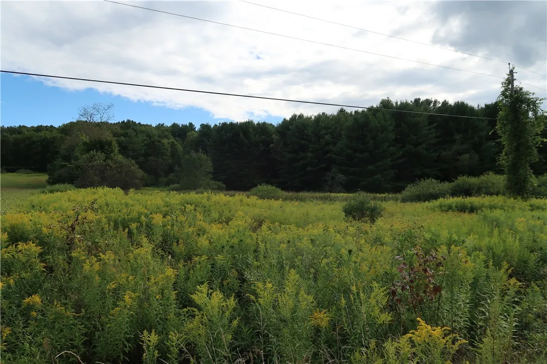 01 Cr-17, Oxford, New York 13830, Oxford, New York 13830, ,Land,For Sale,01 Cr-17, Oxford, New York 13830,0,R1633956