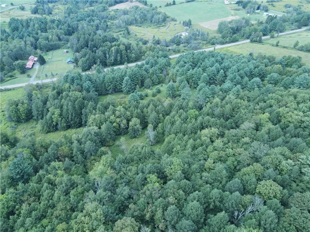 01 Cr-17, Oxford, New York 13830, Oxford, New York 13830, ,Land,For Sale,01 Cr-17, Oxford, New York 13830,0,R1633956