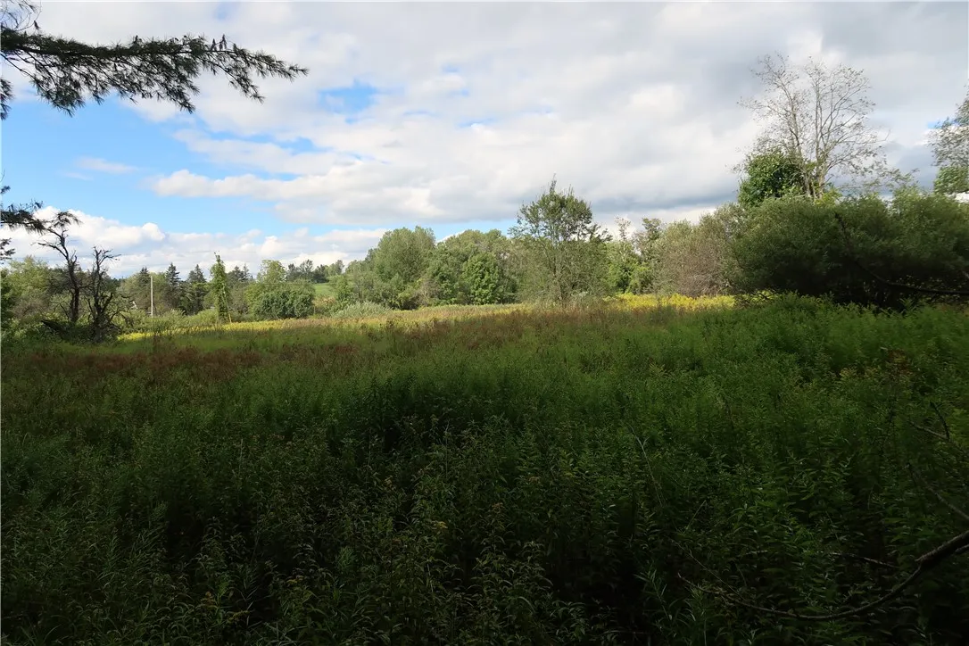 01 Cr-17, Oxford, New York 13830, Oxford, New York 13830, ,Land,For Sale,01 Cr-17, Oxford, New York 13830,0,R1633956