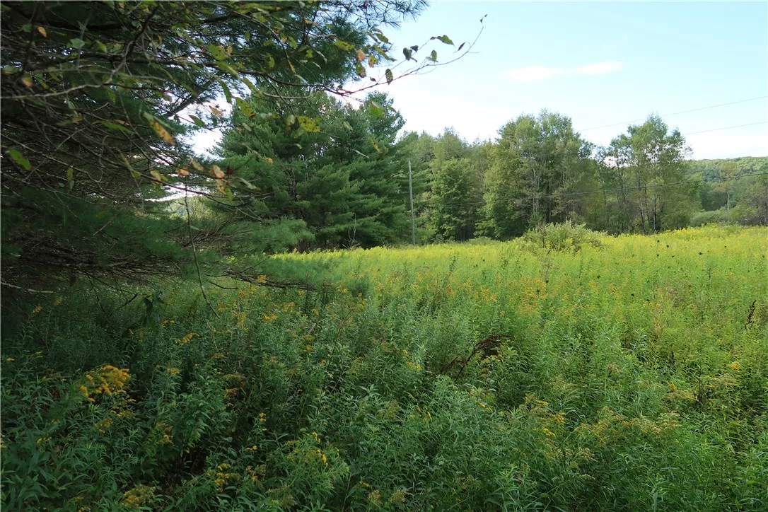 01 Cr-17, Oxford, New York 13830, Oxford, New York 13830, ,Land,For Sale,01 Cr-17, Oxford, New York 13830,0,R1633956
