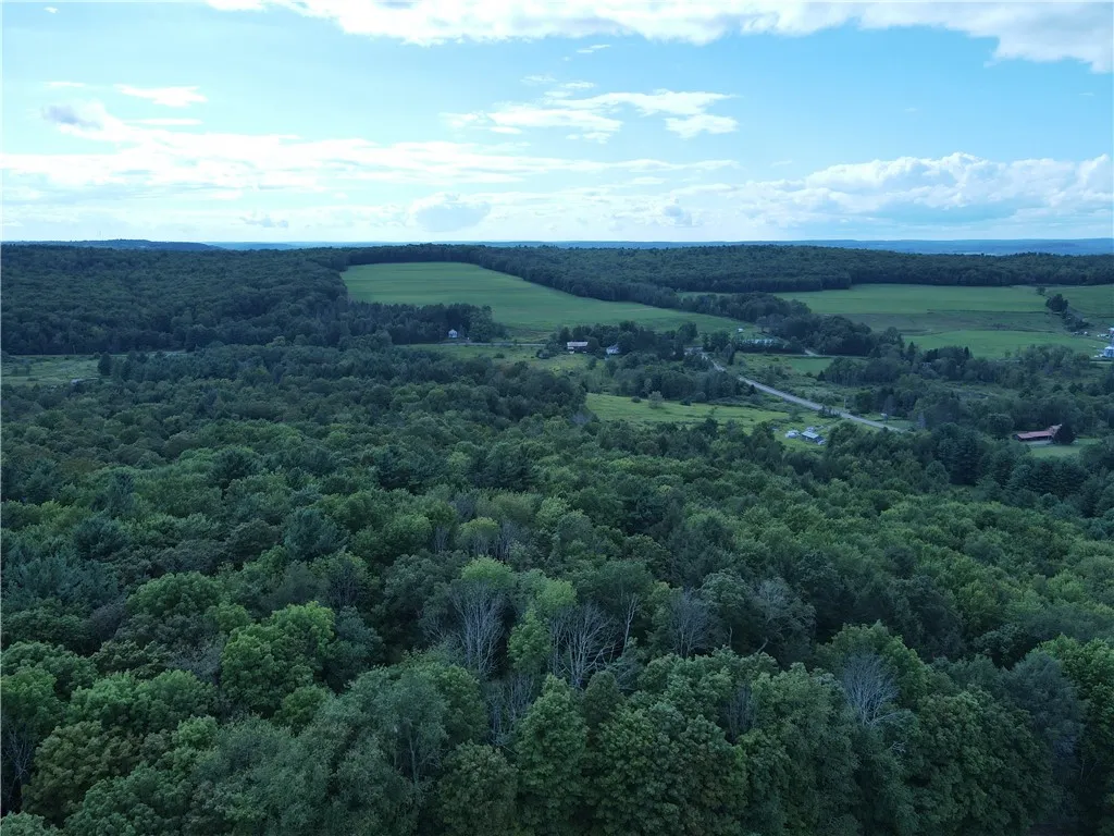01 Cr-17, Oxford, New York 13830, Oxford, New York 13830, ,Land,For Sale,01 Cr-17, Oxford, New York 13830,0,R1633956