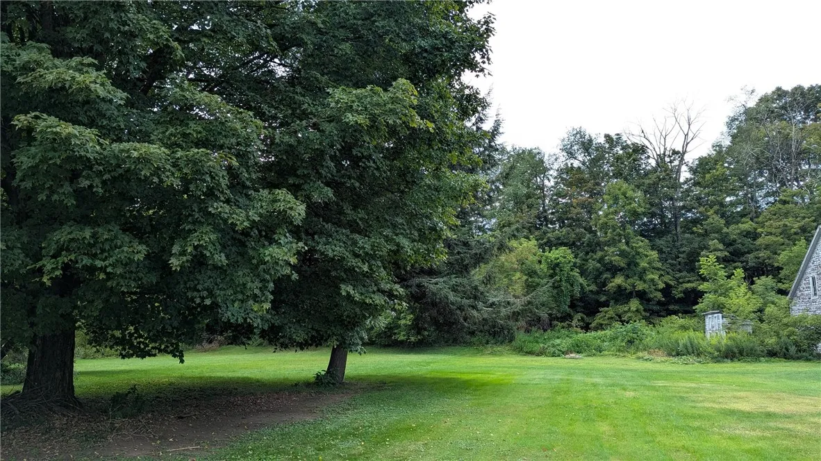 Spacious yard, plenty of room for pets, garden, summer fun....