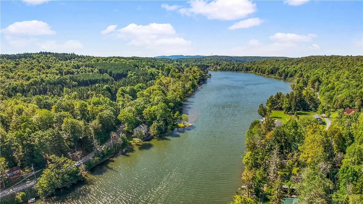 342 Bear Gulch Road, Summit, New York 12175, Summit, New York 12175, 2 Bedrooms Bedrooms, 4 Rooms Rooms,1 BathroomBathrooms,Residential,For Sale,342 Bear Gulch Road, Summit, New York 12175,0,R1633719