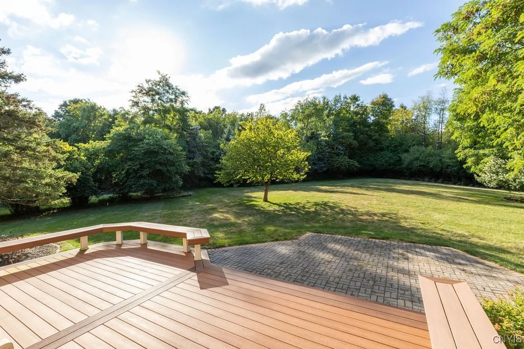 Wow! What a magnificent back yard!
