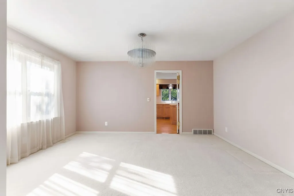 Swinging door between kitchen and dining room!
