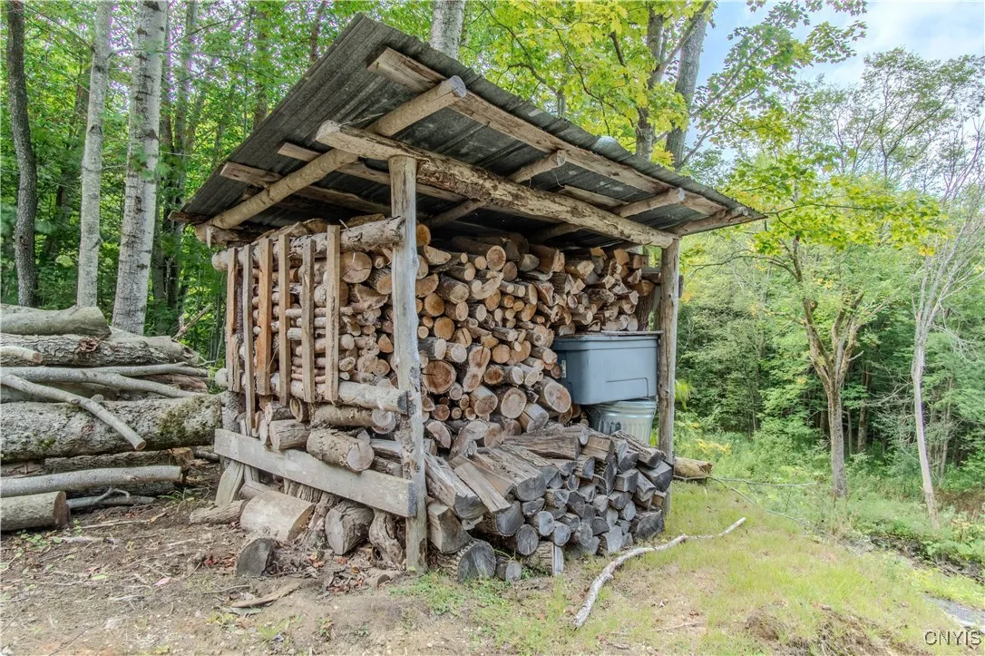672 Pinckney Road, Pinckney, New York 13682, Pinckney, New York 13682, 2 Bedrooms Bedrooms, ,1 BathroomBathrooms,Land,For Sale,672 Pinckney Road, Pinckney, New York 13682,0,S1632290