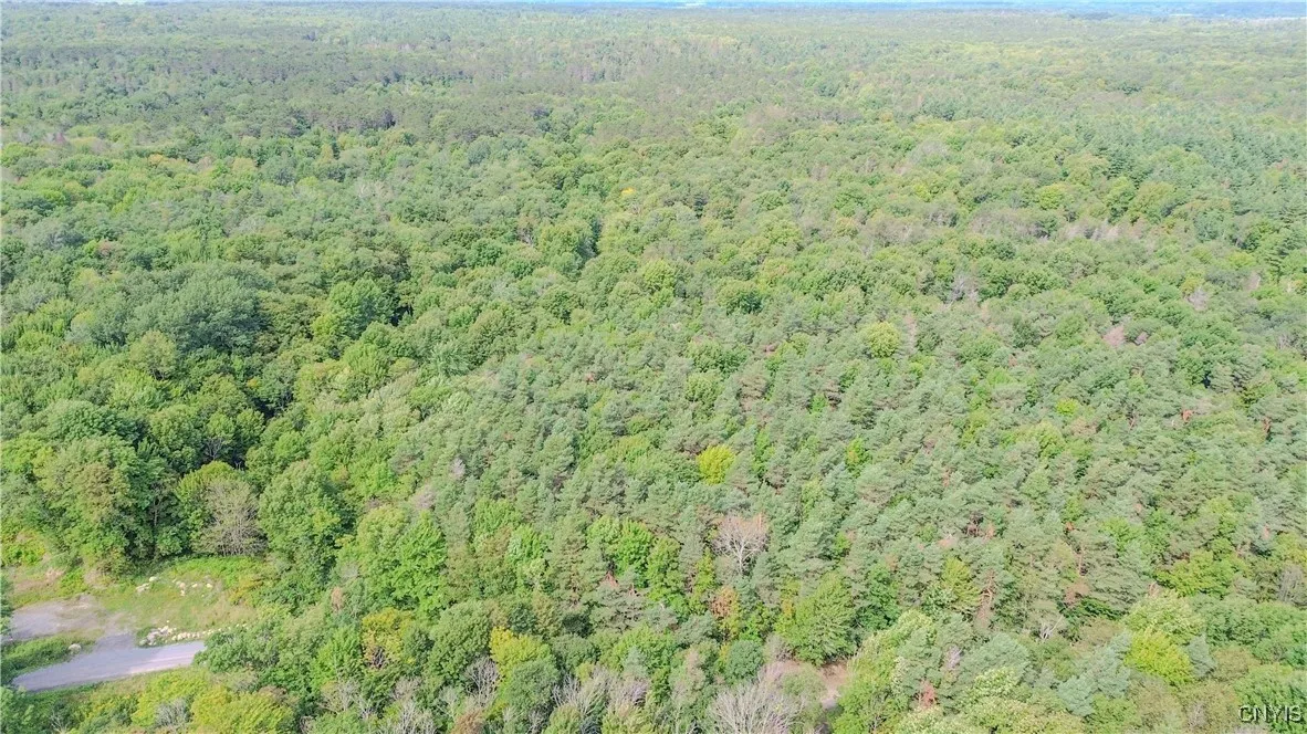 672 Pinckney Road, Pinckney, New York 13682, Pinckney, New York 13682, 2 Bedrooms Bedrooms, ,1 BathroomBathrooms,Land,For Sale,672 Pinckney Road, Pinckney, New York 13682,0,S1632290