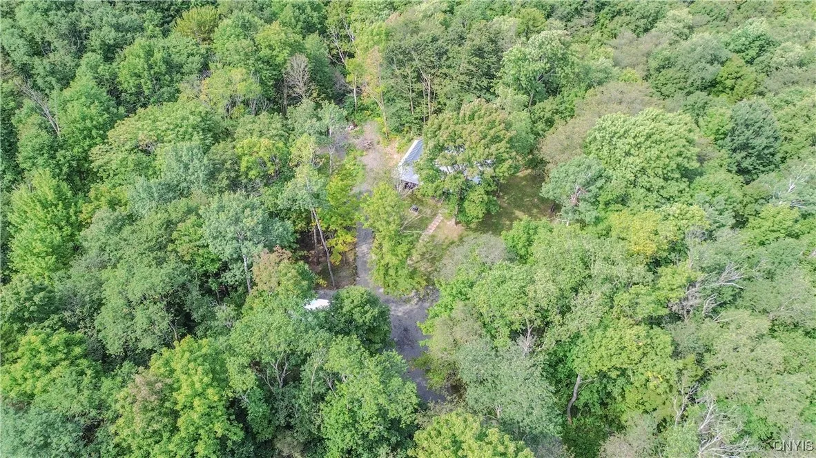 672 Pinckney Road, Pinckney, New York 13682, Pinckney, New York 13682, 2 Bedrooms Bedrooms, ,1 BathroomBathrooms,Land,For Sale,672 Pinckney Road, Pinckney, New York 13682,0,S1632290