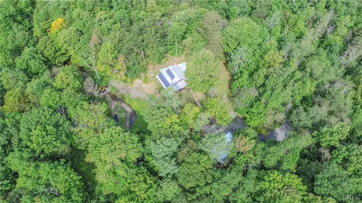 672 Pinckney Road, Pinckney, New York 13682, Pinckney, New York 13682, 2 Bedrooms Bedrooms, ,1 BathroomBathrooms,Land,For Sale,672 Pinckney Road, Pinckney, New York 13682,0,S1632290
