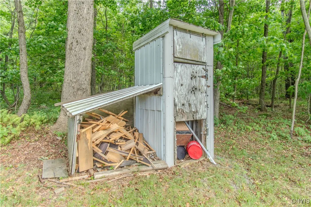 672 Pinckney Road, Pinckney, New York 13682, Pinckney, New York 13682, 2 Bedrooms Bedrooms, ,1 BathroomBathrooms,Land,For Sale,672 Pinckney Road, Pinckney, New York 13682,0,S1632290