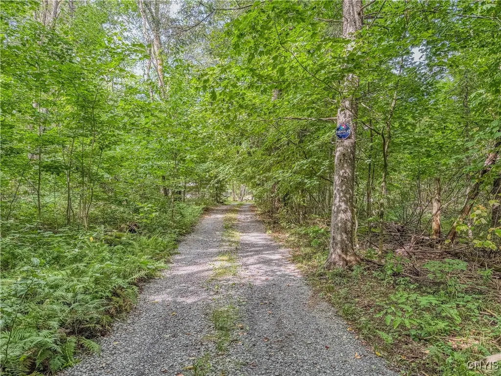 672 Pinckney Road, Pinckney, New York 13682, Pinckney, New York 13682, 2 Bedrooms Bedrooms, ,1 BathroomBathrooms,Land,For Sale,672 Pinckney Road, Pinckney, New York 13682,0,S1632290