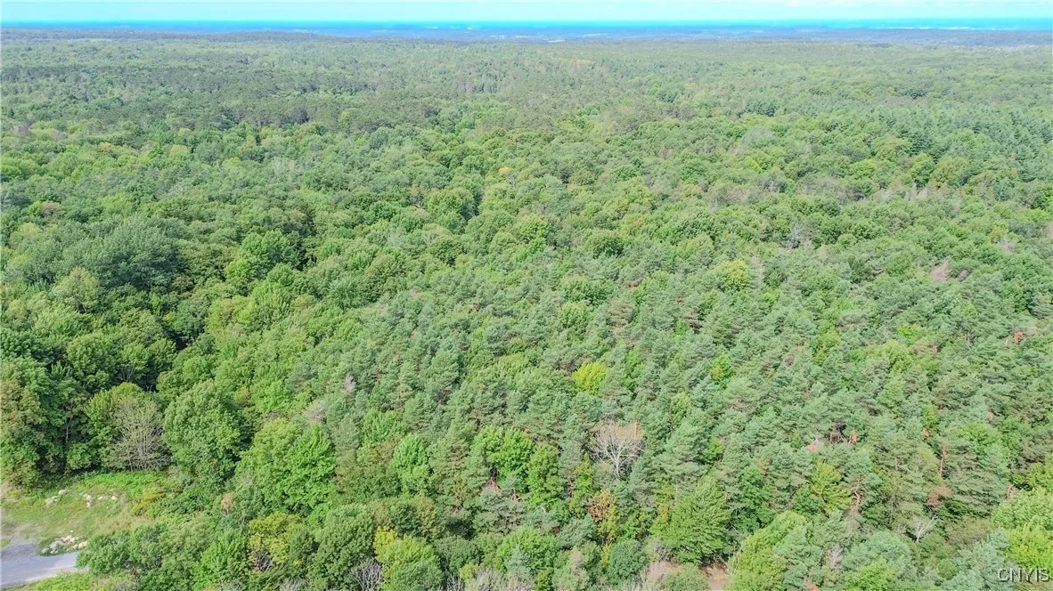 672 Pinckney Road, Pinckney, New York 13682, Pinckney, New York 13682, 2 Bedrooms Bedrooms, ,1 BathroomBathrooms,Land,For Sale,672 Pinckney Road, Pinckney, New York 13682,0,S1632290