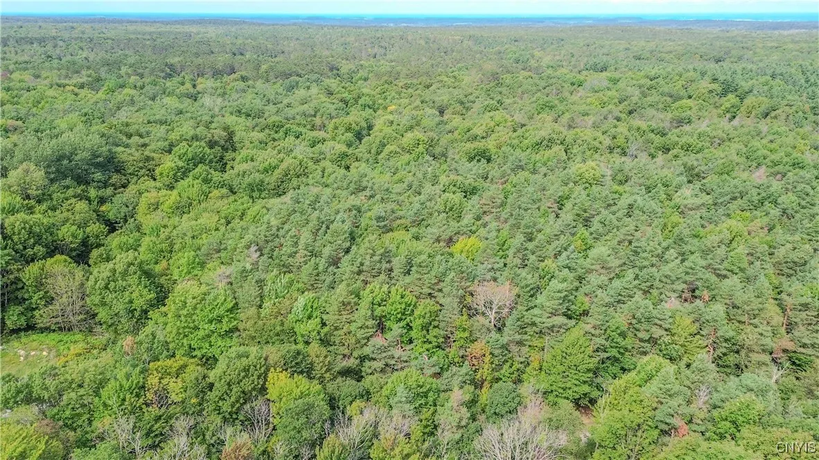 672 Pinckney Road, Pinckney, New York 13682, Pinckney, New York 13682, 2 Bedrooms Bedrooms, ,1 BathroomBathrooms,Land,For Sale,672 Pinckney Road, Pinckney, New York 13682,0,S1632290