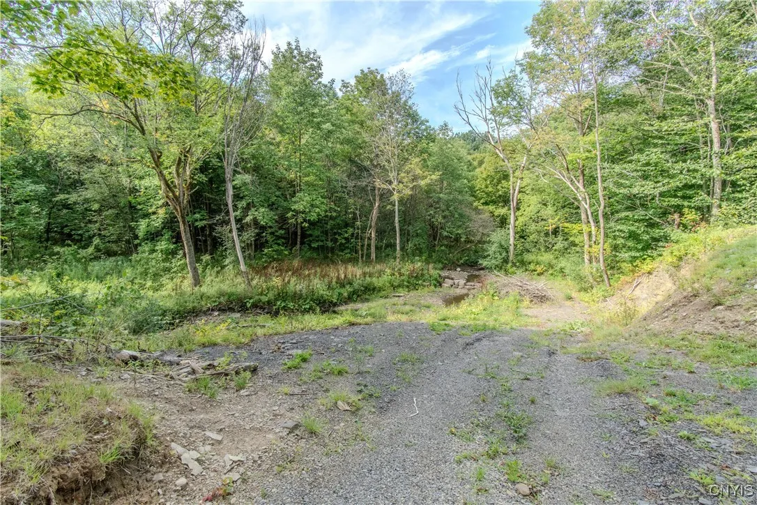 672 Pinckney Road, Pinckney, New York 13682, Pinckney, New York 13682, 2 Bedrooms Bedrooms, ,1 BathroomBathrooms,Land,For Sale,672 Pinckney Road, Pinckney, New York 13682,0,S1632290