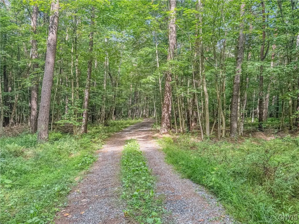 672 Pinckney Road, Pinckney, New York 13682, Pinckney, New York 13682, 2 Bedrooms Bedrooms, ,1 BathroomBathrooms,Land,For Sale,672 Pinckney Road, Pinckney, New York 13682,0,S1632290