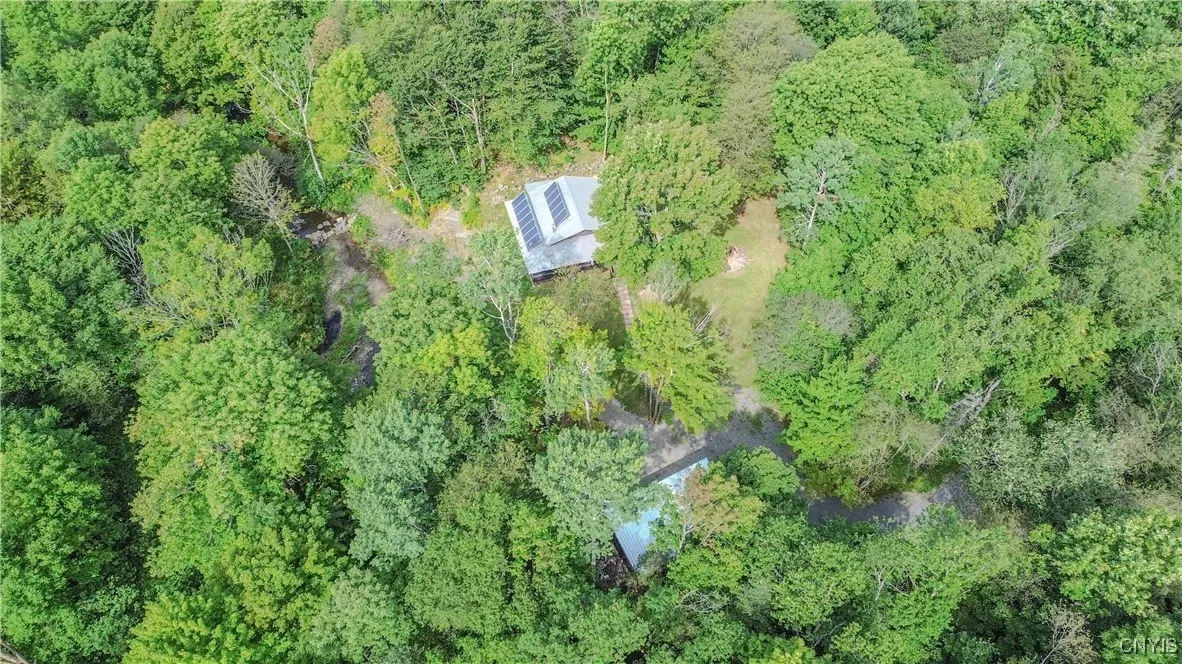 672 Pinckney Road, Pinckney, New York 13682, Pinckney, New York 13682, 2 Bedrooms Bedrooms, ,1 BathroomBathrooms,Land,For Sale,672 Pinckney Road, Pinckney, New York 13682,0,S1632290