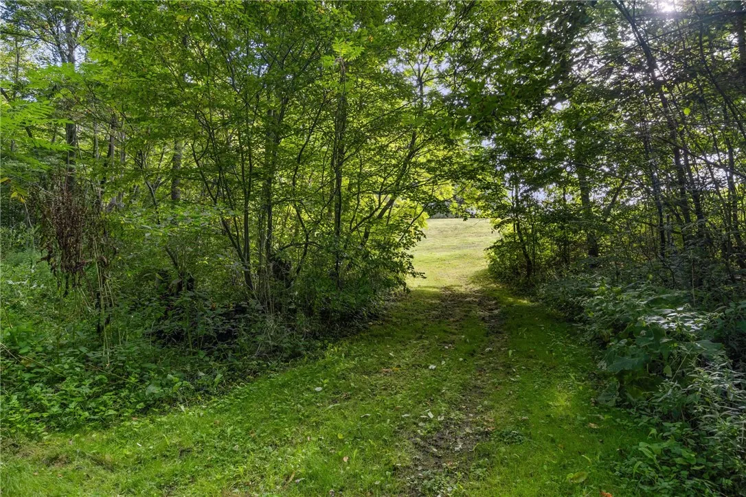 1/2 mile of trails
