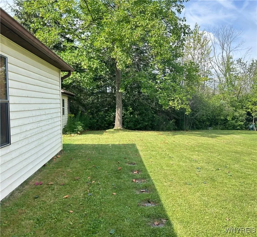 Wooded yard