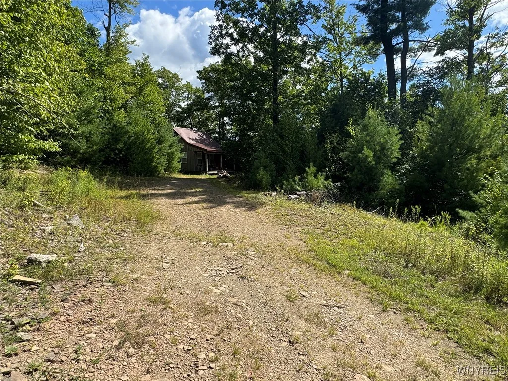 5400 County Road 38, Alma, New York 14708, Alma, New York 14708, 1 Bedroom Bedrooms, 4 Rooms Rooms,Residential,For Sale,5400 County Road 38, Alma, New York 14708,0,B1633991