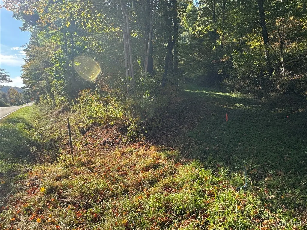 5400 County Road 38, Alma, New York 14708, Alma, New York 14708, 1 Bedroom Bedrooms, 4 Rooms Rooms,Residential,For Sale,5400 County Road 38, Alma, New York 14708,0,B1633991