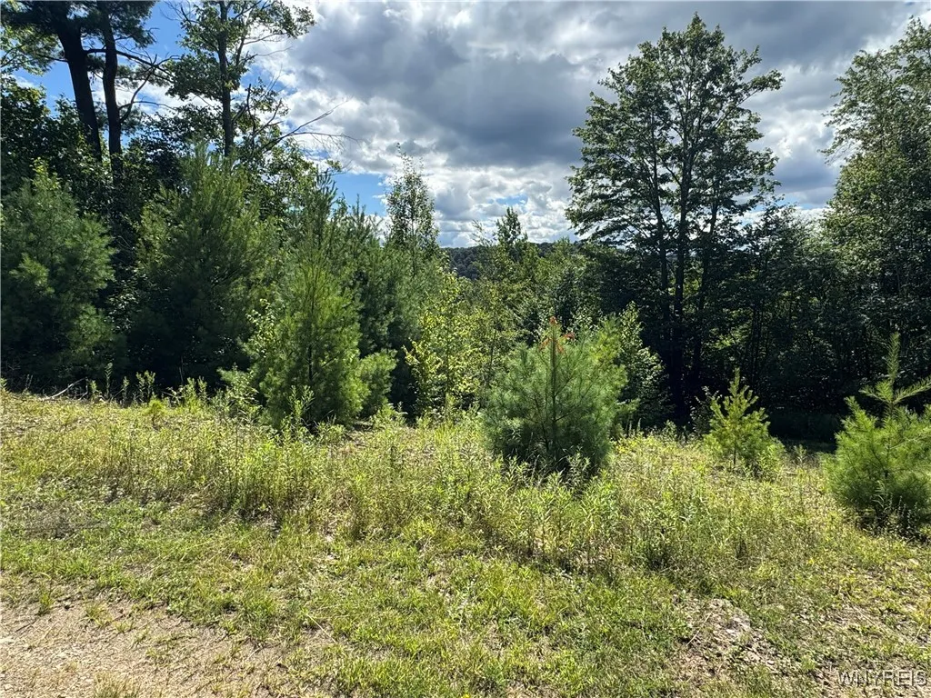 5400 County Road 38, Alma, New York 14708, Alma, New York 14708, 1 Bedroom Bedrooms, 4 Rooms Rooms,Residential,For Sale,5400 County Road 38, Alma, New York 14708,0,B1633991