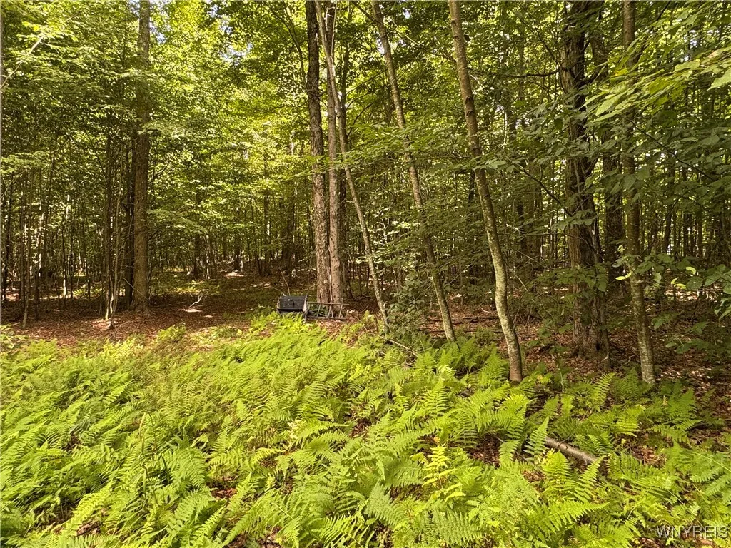 5400 County Road 38, Alma, New York 14708, Alma, New York 14708, 1 Bedroom Bedrooms, 4 Rooms Rooms,Residential,For Sale,5400 County Road 38, Alma, New York 14708,0,B1633991