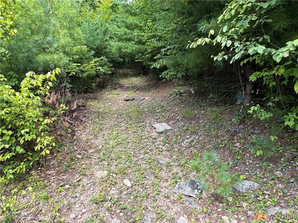 5400 County Road 38, Alma, New York 14708, Alma, New York 14708, 1 Bedroom Bedrooms, 4 Rooms Rooms,Residential,For Sale,5400 County Road 38, Alma, New York 14708,0,B1633991