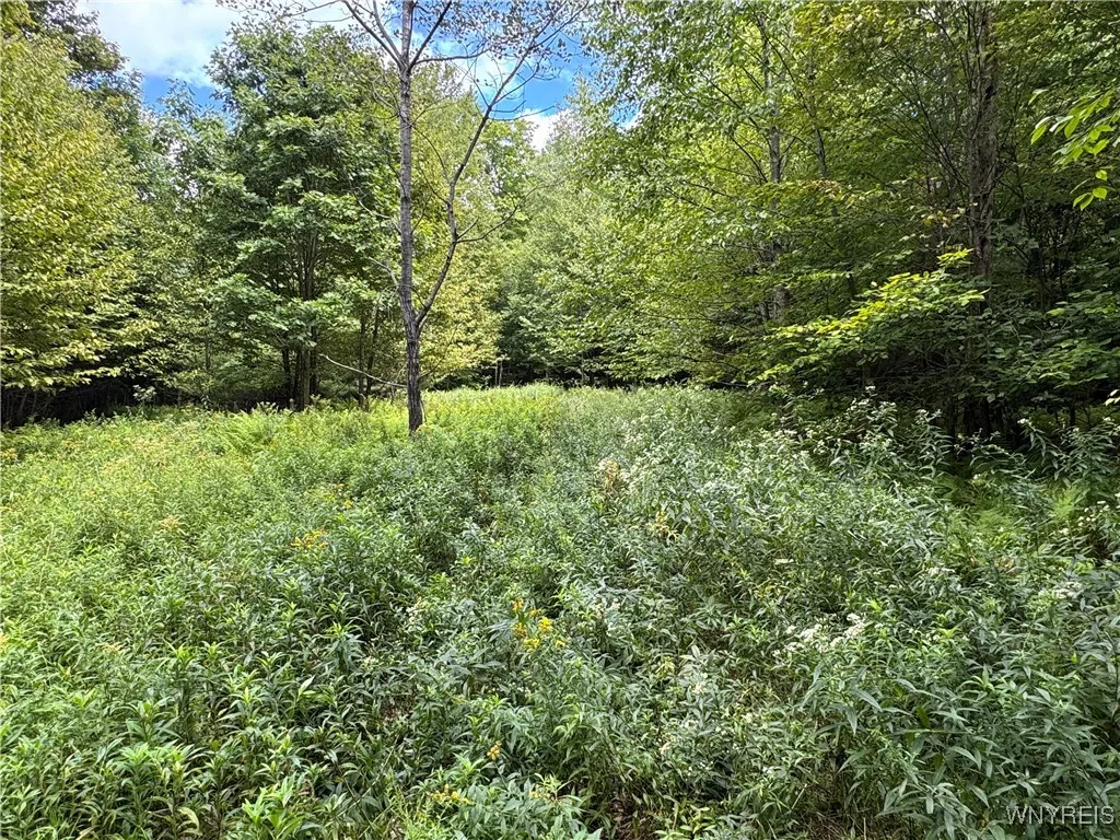 5400 County Road 38, Alma, New York 14708, Alma, New York 14708, 1 Bedroom Bedrooms, 4 Rooms Rooms,Residential,For Sale,5400 County Road 38, Alma, New York 14708,0,B1633991