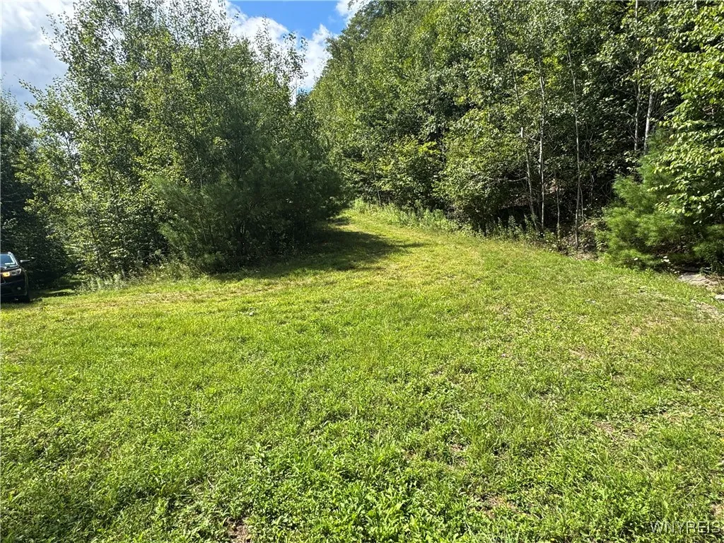 5400 County Road 38, Alma, New York 14708, Alma, New York 14708, 1 Bedroom Bedrooms, 4 Rooms Rooms,Land,For Sale,5400 County Road 38, Alma, New York 14708,0,B1633992