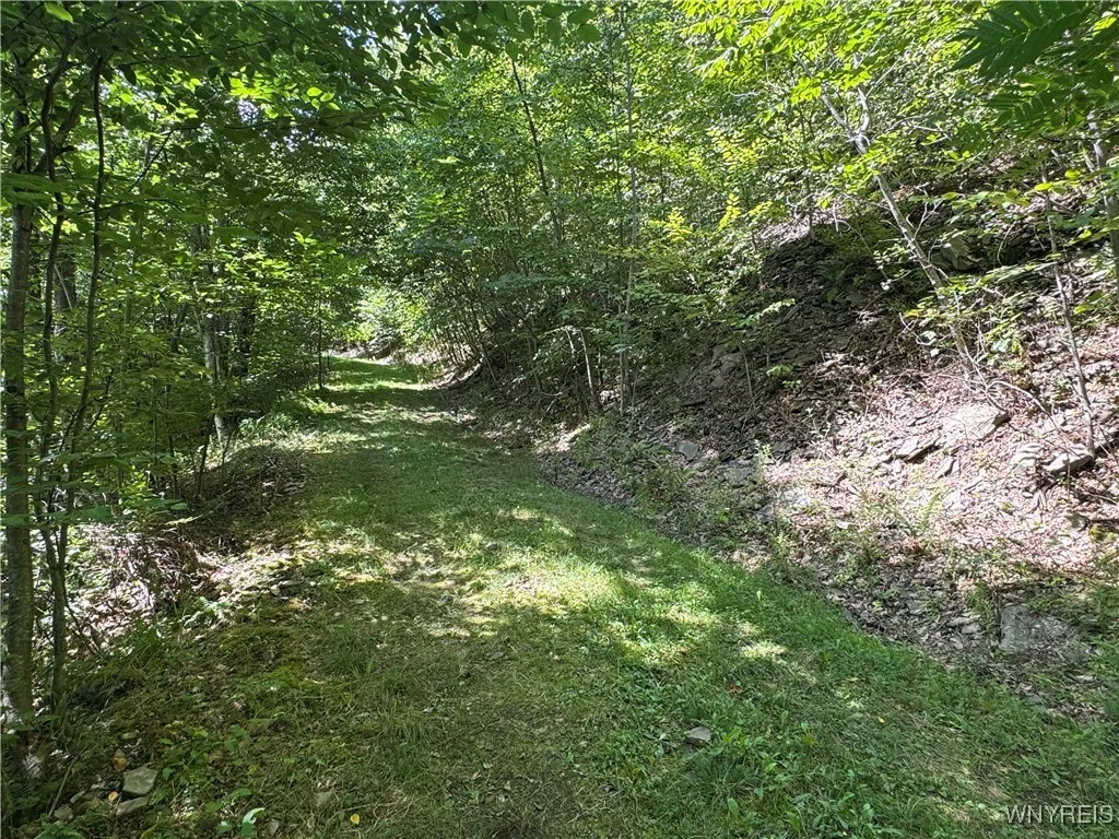 5400 County Road 38, Alma, New York 14708, Alma, New York 14708, 1 Bedroom Bedrooms, 4 Rooms Rooms,Land,For Sale,5400 County Road 38, Alma, New York 14708,0,B1633992