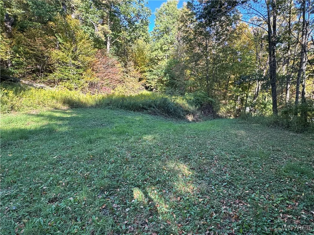 5400 County Road 38, Alma, New York 14708, Alma, New York 14708, 1 Bedroom Bedrooms, 4 Rooms Rooms,Land,For Sale,5400 County Road 38, Alma, New York 14708,0,B1633992