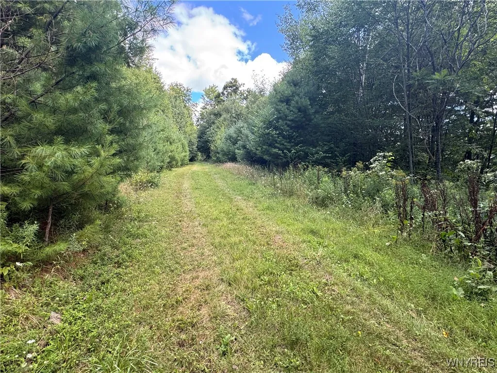 5400 County Road 38, Alma, New York 14708, Alma, New York 14708, 1 Bedroom Bedrooms, 4 Rooms Rooms,Land,For Sale,5400 County Road 38, Alma, New York 14708,0,B1633992