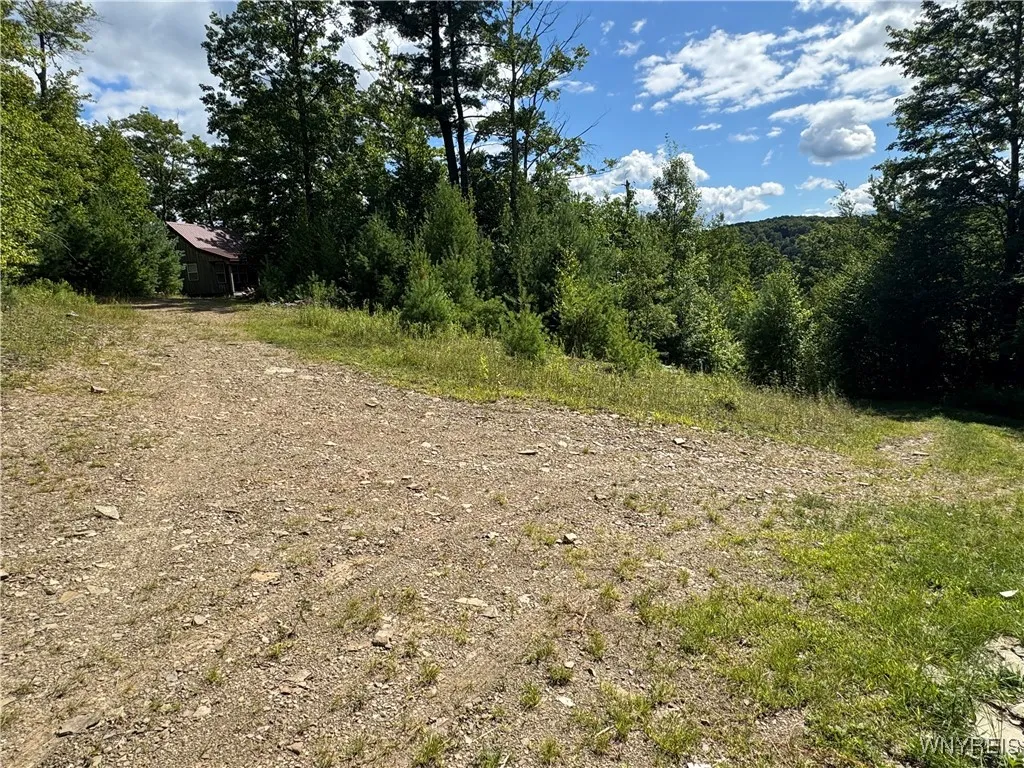 5400 County Road 38, Alma, New York 14708, Alma, New York 14708, 1 Bedroom Bedrooms, 4 Rooms Rooms,Land,For Sale,5400 County Road 38, Alma, New York 14708,0,B1633992