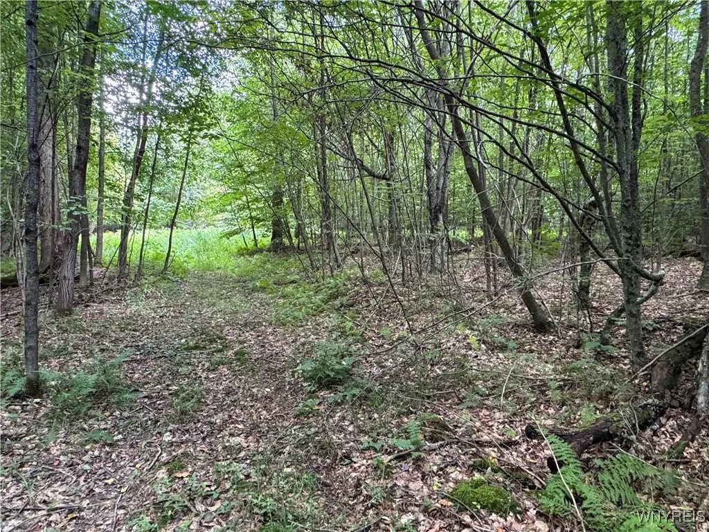 5400 County Road 38, Alma, New York 14708, Alma, New York 14708, 1 Bedroom Bedrooms, 4 Rooms Rooms,Land,For Sale,5400 County Road 38, Alma, New York 14708,0,B1633992