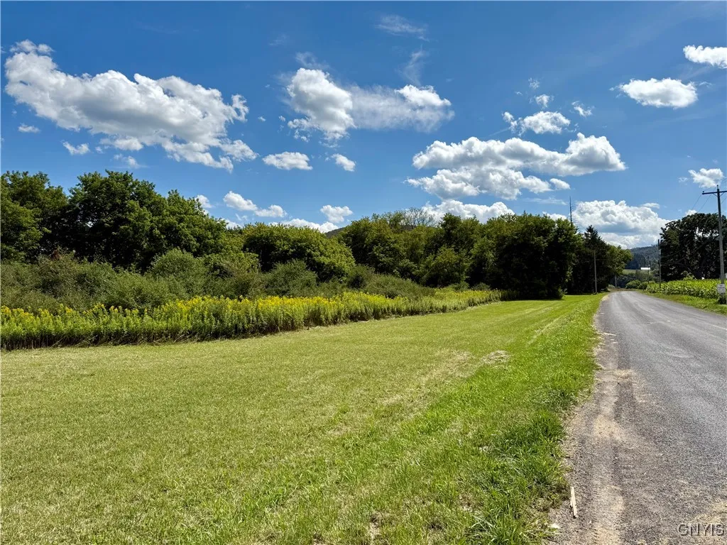 1158 Herlihy Road, Fabius, New York 13159, Fabius, New York 13159, 3 Bedrooms Bedrooms, ,1 BathroomBathrooms,Land,Closed,1158 Herlihy Road, Fabius, New York 13159,0,S1633933