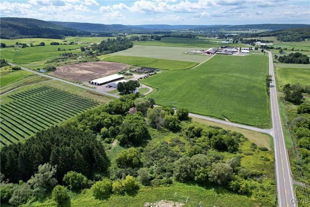 1158 Herlihy Road, Fabius, New York 13159, Fabius, New York 13159, 3 Bedrooms Bedrooms, ,1 BathroomBathrooms,Land,Closed,1158 Herlihy Road, Fabius, New York 13159,0,S1633933