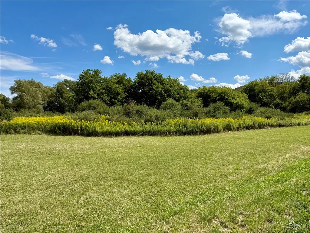 1158 Herlihy Road, Fabius, New York 13159, Fabius, New York 13159, 3 Bedrooms Bedrooms, ,1 BathroomBathrooms,Land,Closed,1158 Herlihy Road, Fabius, New York 13159,0,S1633933