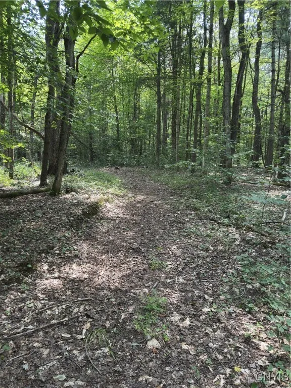 Hall Road, Russia, New York 13324, Russia, New York 13324, ,Land,For Sale,Hall Road, Russia, New York 13324,0,S1634420