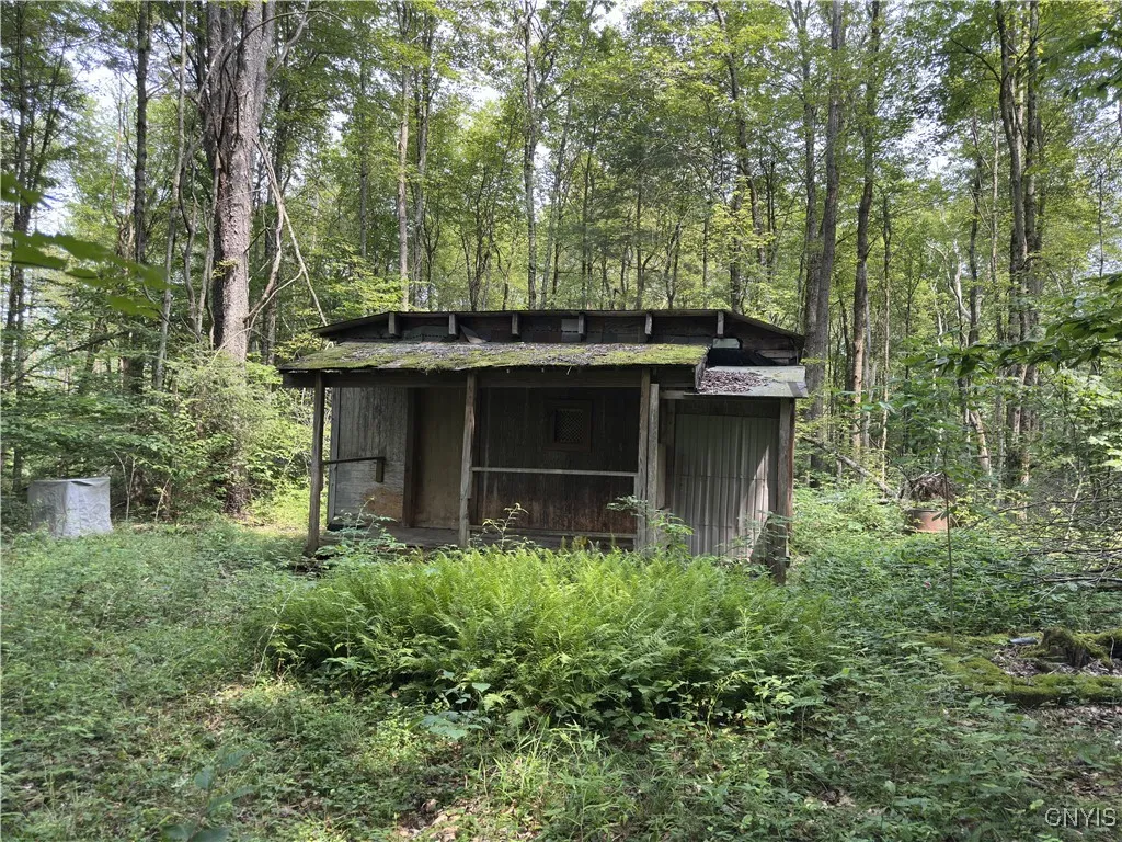 Hall Road, Russia, New York 13324, Russia, New York 13324, ,Land,For Sale,Hall Road, Russia, New York 13324,0,S1634420