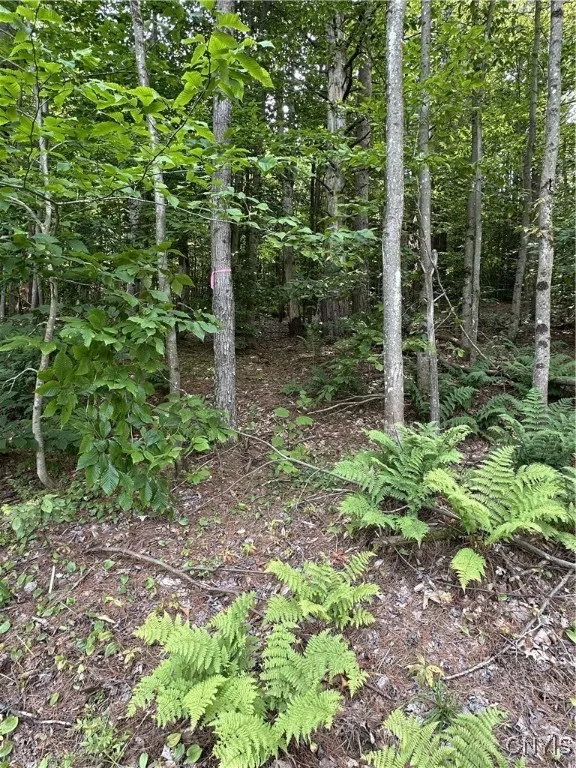 Hall Road, Russia, New York 13324, Russia, New York 13324, ,Land,For Sale,Hall Road, Russia, New York 13324,0,S1634420