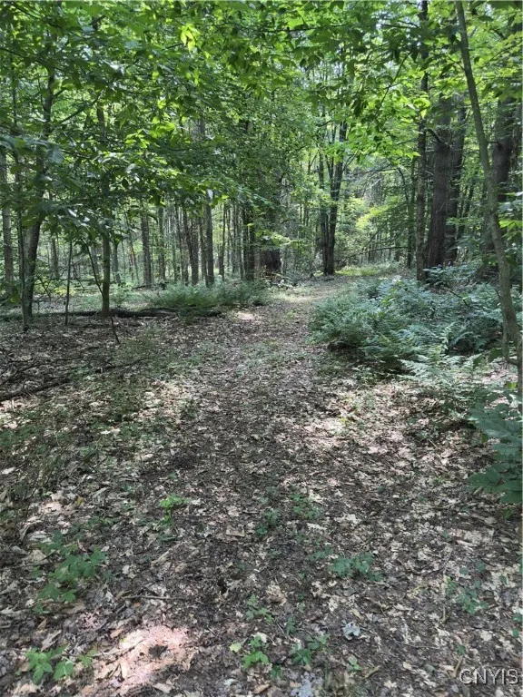 Hall Road, Russia, New York 13324, Russia, New York 13324, ,Land,For Sale,Hall Road, Russia, New York 13324,0,S1634420