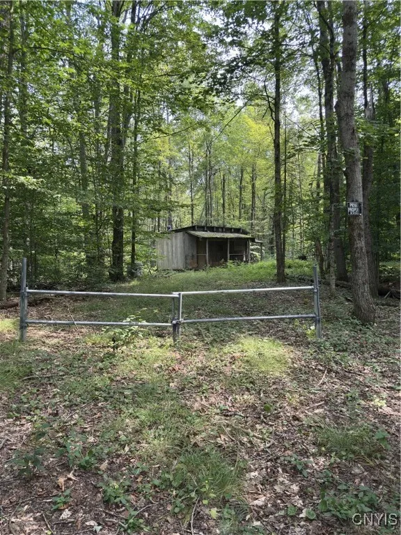 Hall Road, Russia, New York 13324, Russia, New York 13324, ,Land,For Sale,Hall Road, Russia, New York 13324,0,S1634420