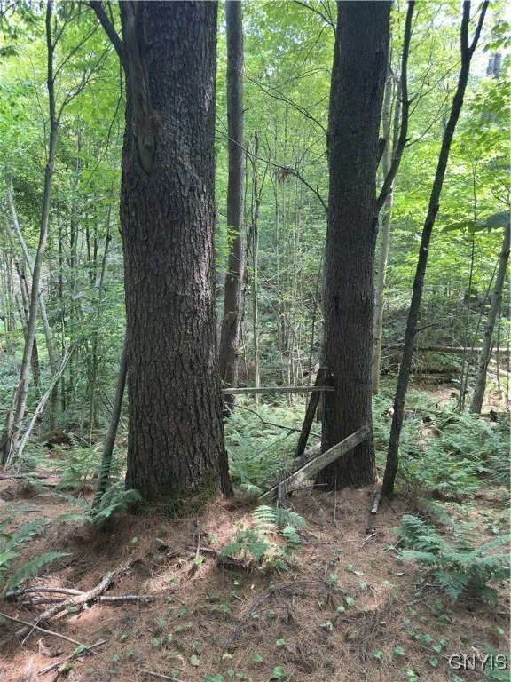Hall Road, Russia, New York 13324, Russia, New York 13324, ,Land,For Sale,Hall Road, Russia, New York 13324,0,S1634420