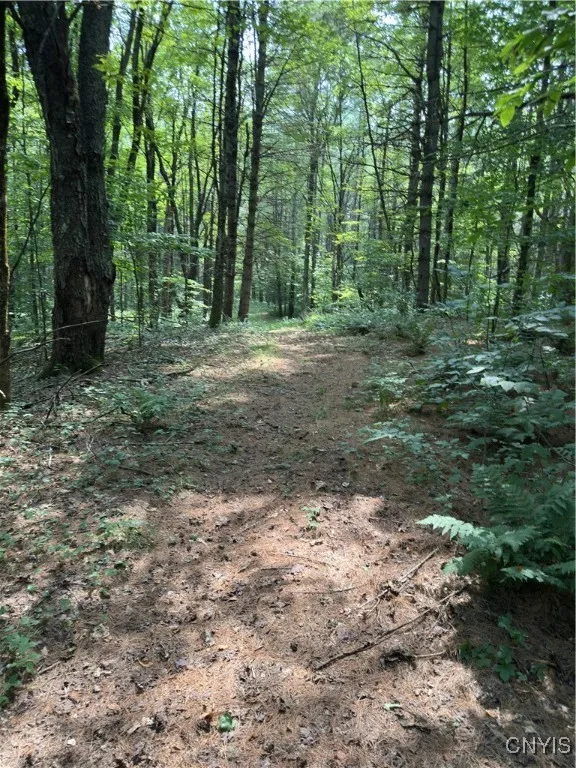 Hall Road, Russia, New York 13324, Russia, New York 13324, ,Land,For Sale,Hall Road, Russia, New York 13324,0,S1634420