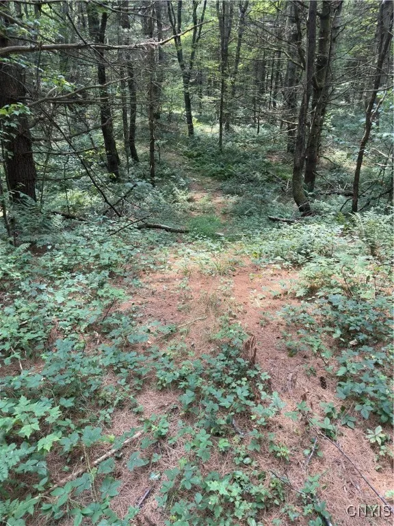 Hall Road, Russia, New York 13324, Russia, New York 13324, ,Land,For Sale,Hall Road, Russia, New York 13324,0,S1634420